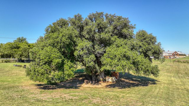 1005 Paradise Parkway, Poolville, TX 76487