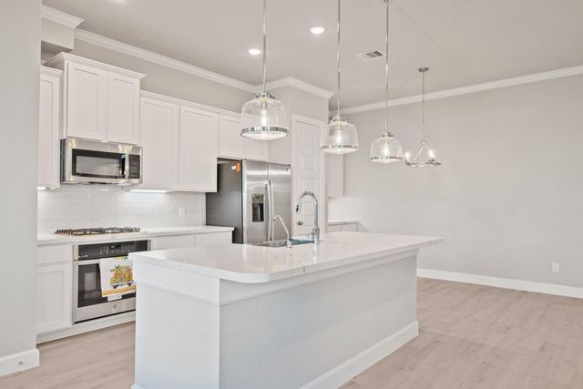 11407 W Blossom Square Street, Houston, TX 77047