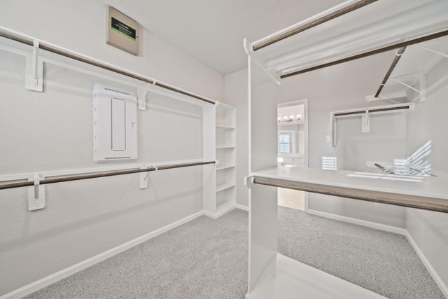11407 W Blossom Square Street, Houston, TX 77047