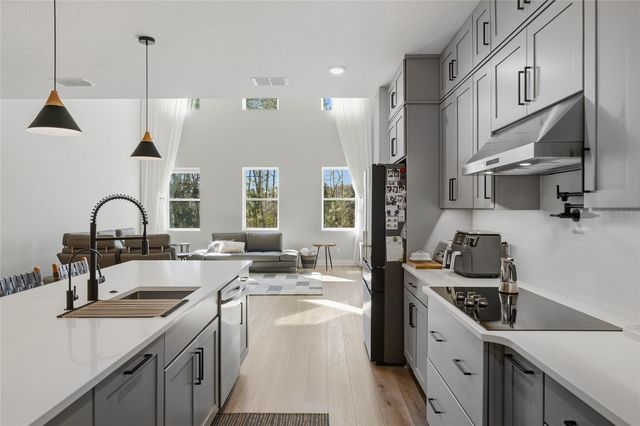 17222 DANCY ORANGE COURT, Winter Garden, FL 34787