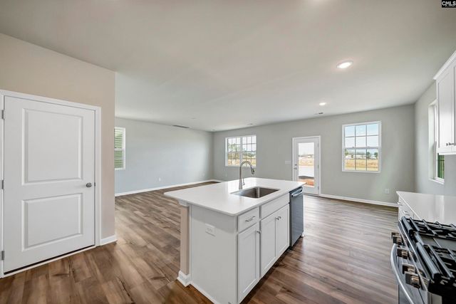 722 Ben Gunn Run, Gilbert, SC 29054