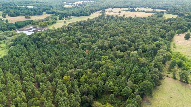 10.13 Acres Fm 852, Gilmer, TX 75644