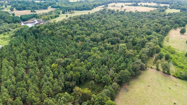 10.13 Acres Fm 852, Gilmer, TX 75644