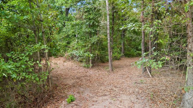 10.13 Acres Fm 852, Gilmer, TX 75644