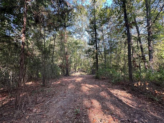 10.13 Acres Fm 852, Gilmer, TX 75644