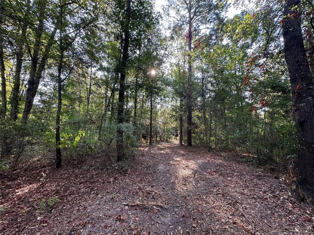 10.13 Acres Fm 852, Gilmer, TX 75644