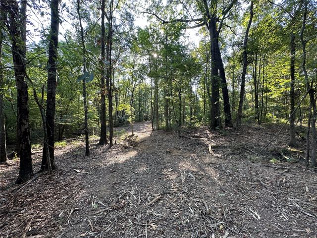 10.13 Acres Fm 852, Gilmer, TX 75644