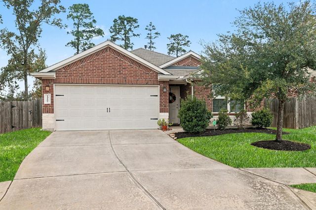 14106 Locke Point Court, Conroe, TX 77384