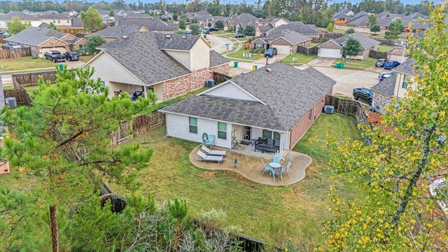 14106 Locke Point Court, Conroe, TX 77384