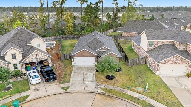 14106 Locke Point Court, Conroe, TX 77384