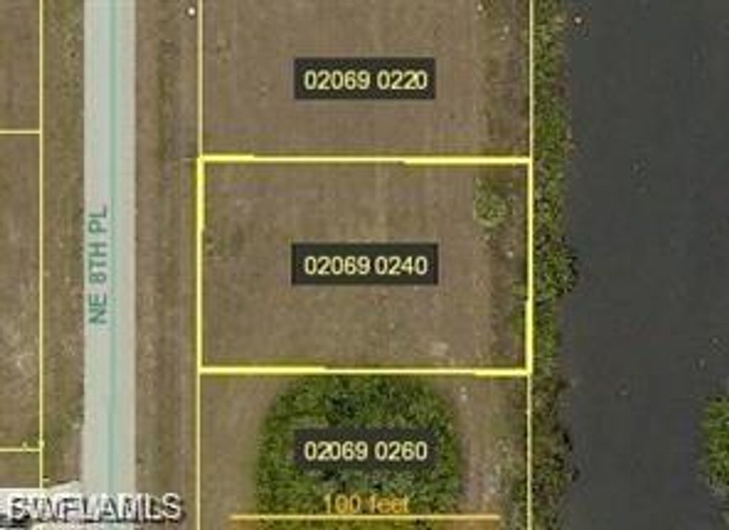 1407 NE 8th PL, Cape Coral, FL 33909