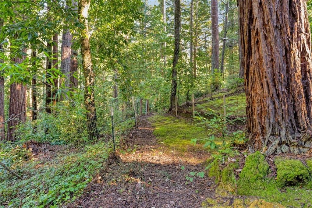 Image 33 of property listing at 1079 Scenic Drive, Felton, CA 95018