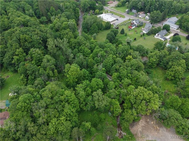 8762 Lower East Hill Road, Colden, NY 14033