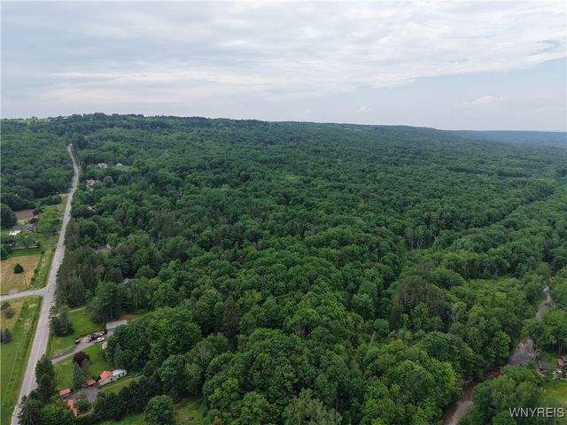 8762 Lower East Hill Road, Colden, NY 14033