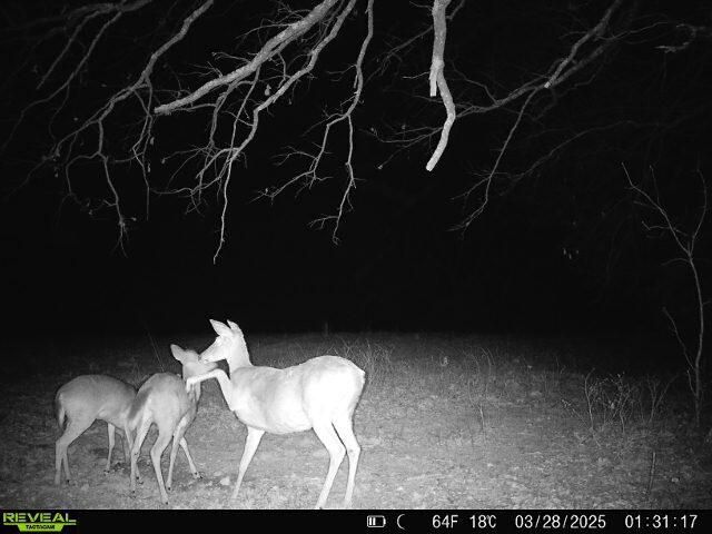 32103 State Highway 413, Galena, MO 65656