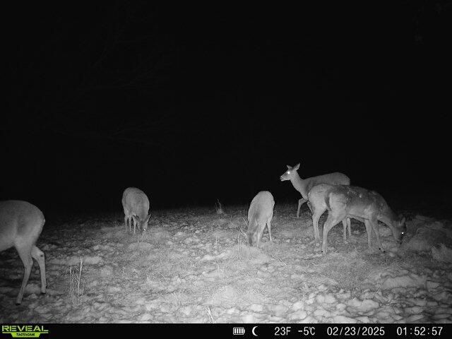 32103 State Highway 413, Galena, MO 65656