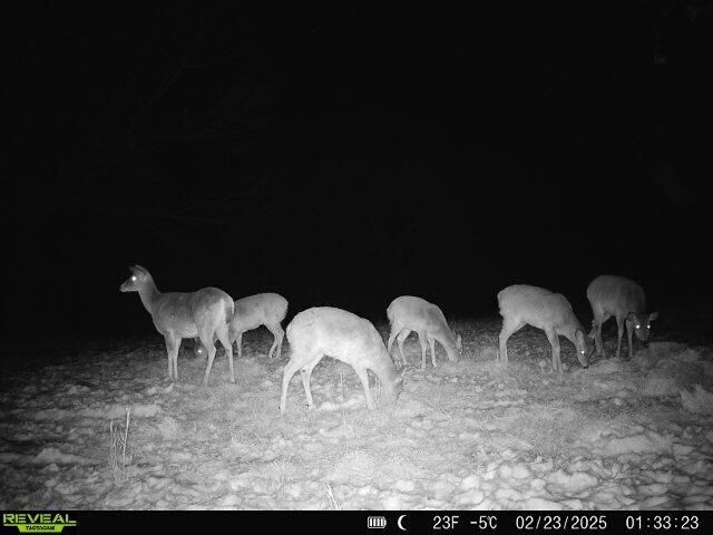 32103 State Highway 413, Galena, MO 65656