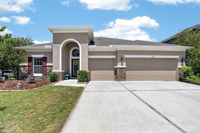 11321 SCRIBNER STATION LANE, Lithia, FL 33547