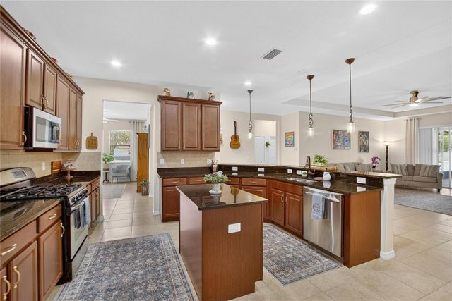 11321 SCRIBNER STATION LANE, Lithia, FL 33547