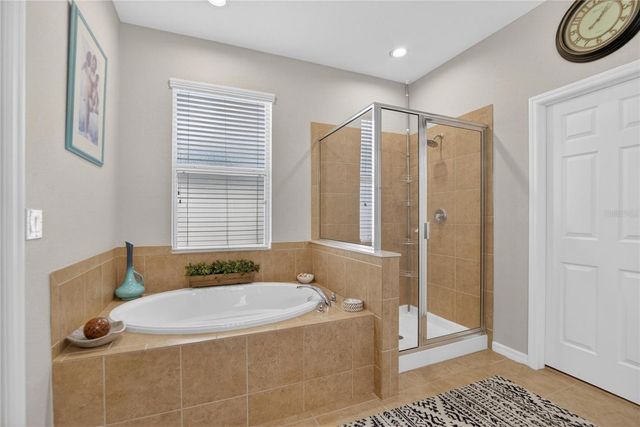 11321 SCRIBNER STATION LANE, Lithia, FL 33547