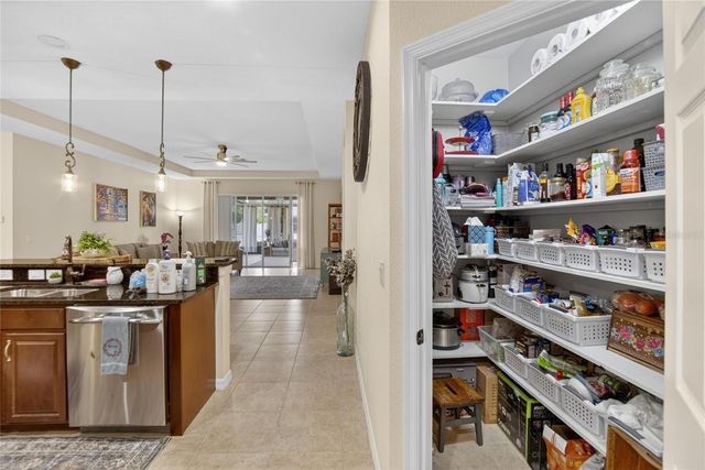 11321 SCRIBNER STATION LANE, Lithia, FL 33547