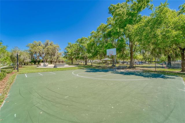 11321 SCRIBNER STATION LANE, Lithia, FL 33547