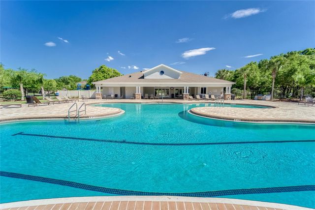 11321 SCRIBNER STATION LANE, Lithia, FL 33547