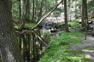 257 Rowentown Road, Wentworth, NH 03282