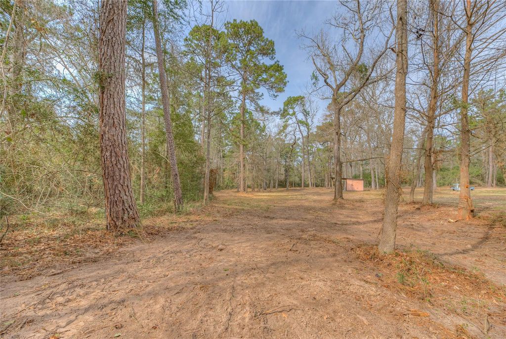 TBD Beechcreek Wood, Livingston, TX 77351