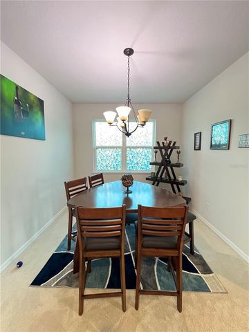 14112 POKE RIDGE DRIVE, Riverview, FL 33579