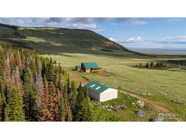 209 Forb Ln, Red Feather Lakes, CO 80545