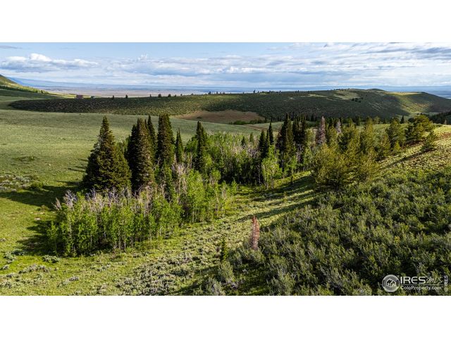 209 Forb Ln, Red Feather Lakes, CO 80545