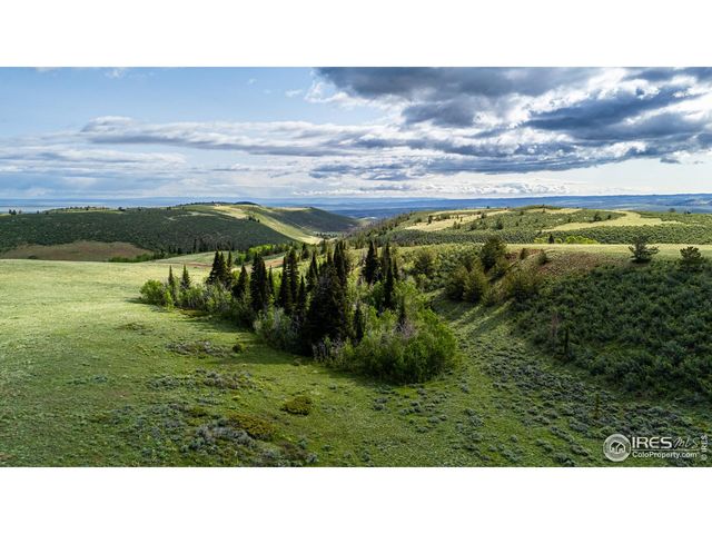 209 Forb Ln, Red Feather Lakes, CO 80545