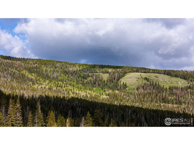 209 Forb Ln, Red Feather Lakes, CO 80545