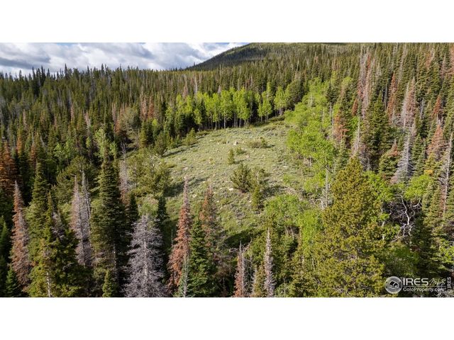 209 Forb Ln, Red Feather Lakes, CO 80545