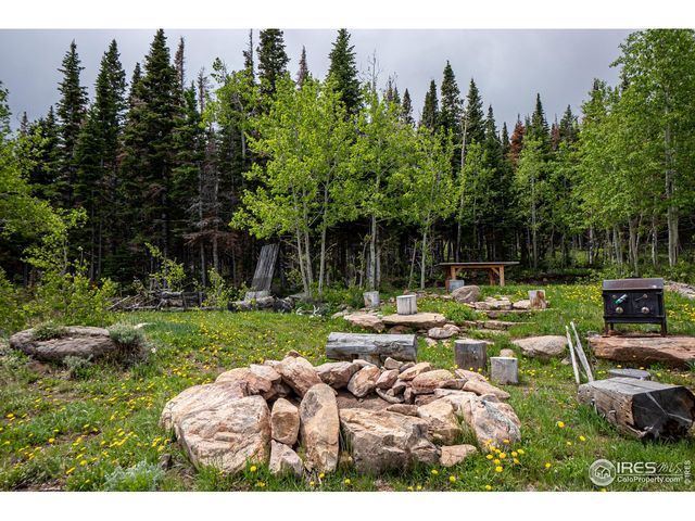 209 Forb Ln, Red Feather Lakes, CO 80545
