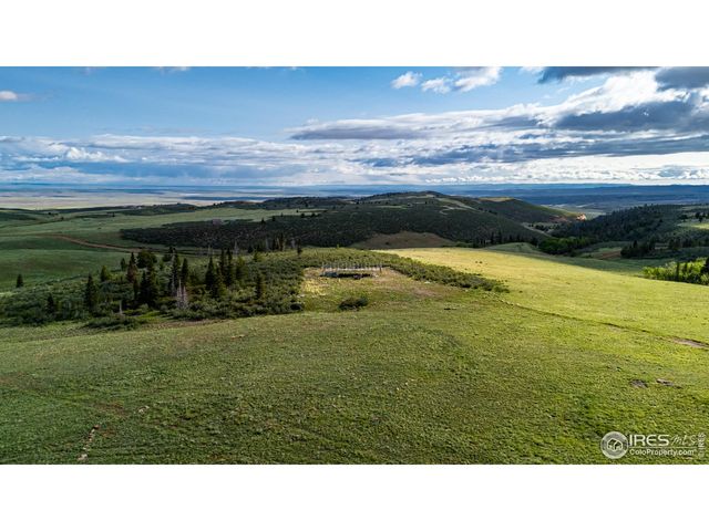 209 Forb Ln, Red Feather Lakes, CO 80545