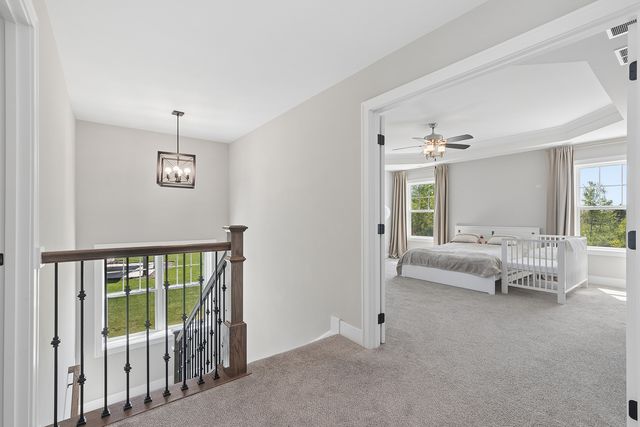 23082 Mayfield Drive, Frankfort, IL 60423