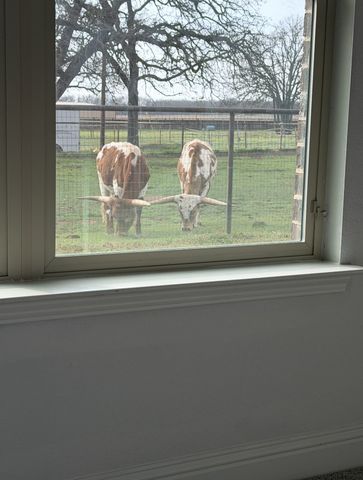 294 County Road 3386, Paradise, TX 76073