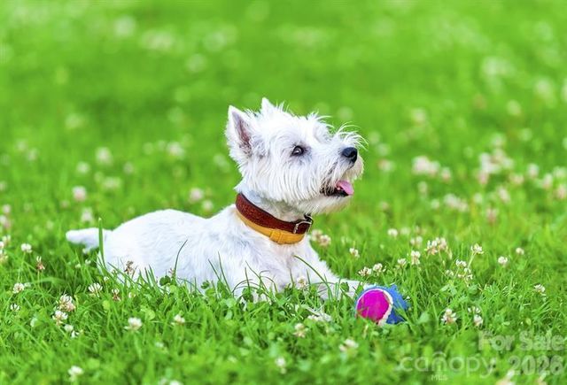 11013 Rococo Lane, Charlotte, NC 28214