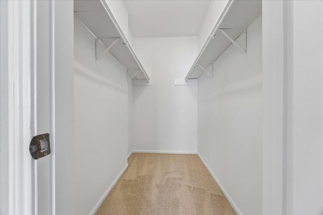 2100 Tanglewilde Street 124, Houston, TX 77063