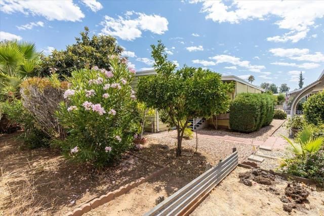 211 N Citrus Avenue 214, Escondido, CA 92027