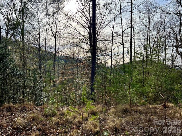 00 Lupine Lane 182, Franklin, NC 28734