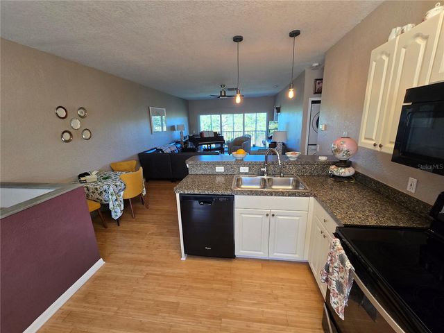 3919 CAPE HAZE DRIVE 505, Rotonda West, FL 33947