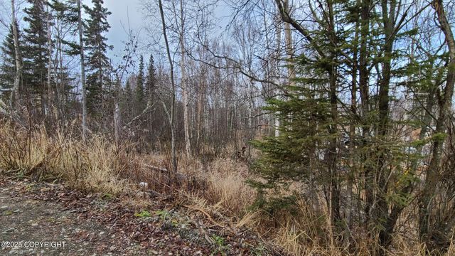 9111 W Sammie Circle, Wasilla, AK 99623