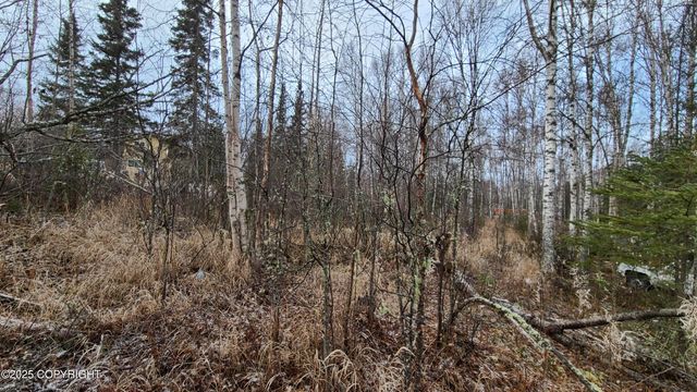 9111 W Sammie Circle, Wasilla, AK 99623