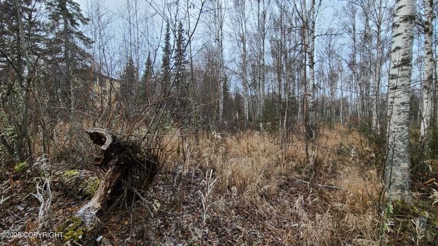 9111 W Sammie Circle, Wasilla, AK 99623