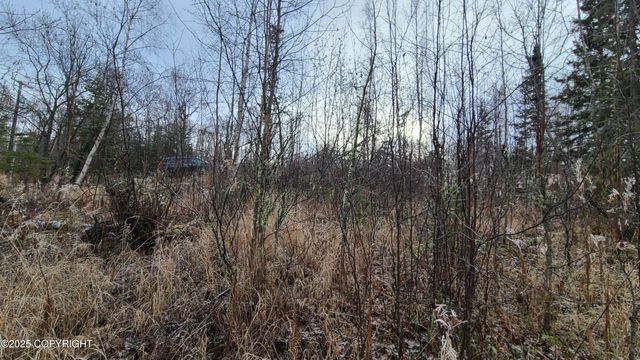 9111 W Sammie Circle, Wasilla, AK 99623