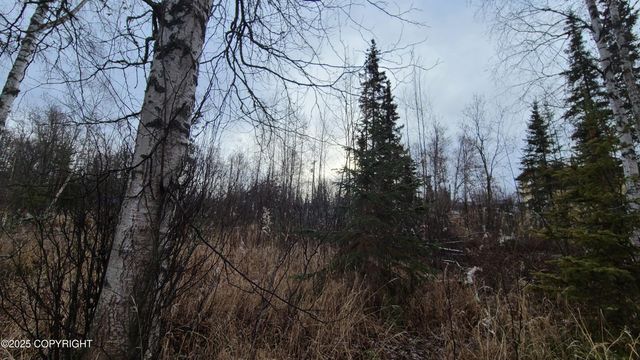 9111 W Sammie Circle, Wasilla, AK 99623