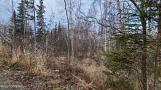 9111 W Sammie Circle, Wasilla, AK 99623